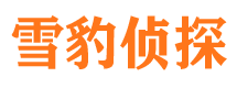 连南市侦探公司